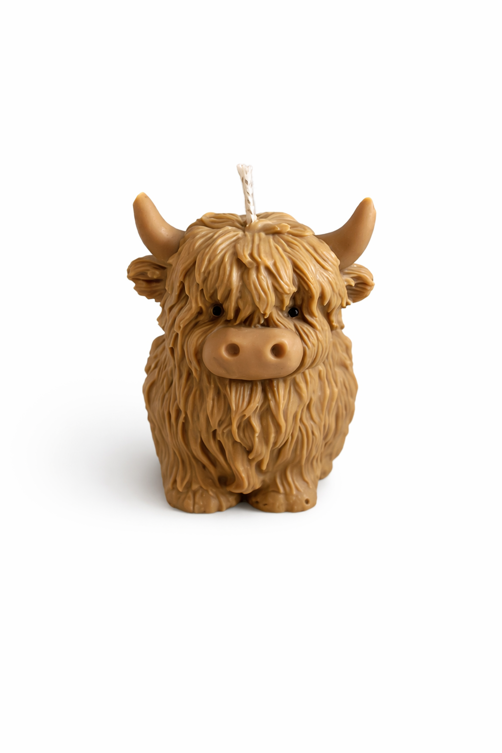Schotse Hooglander