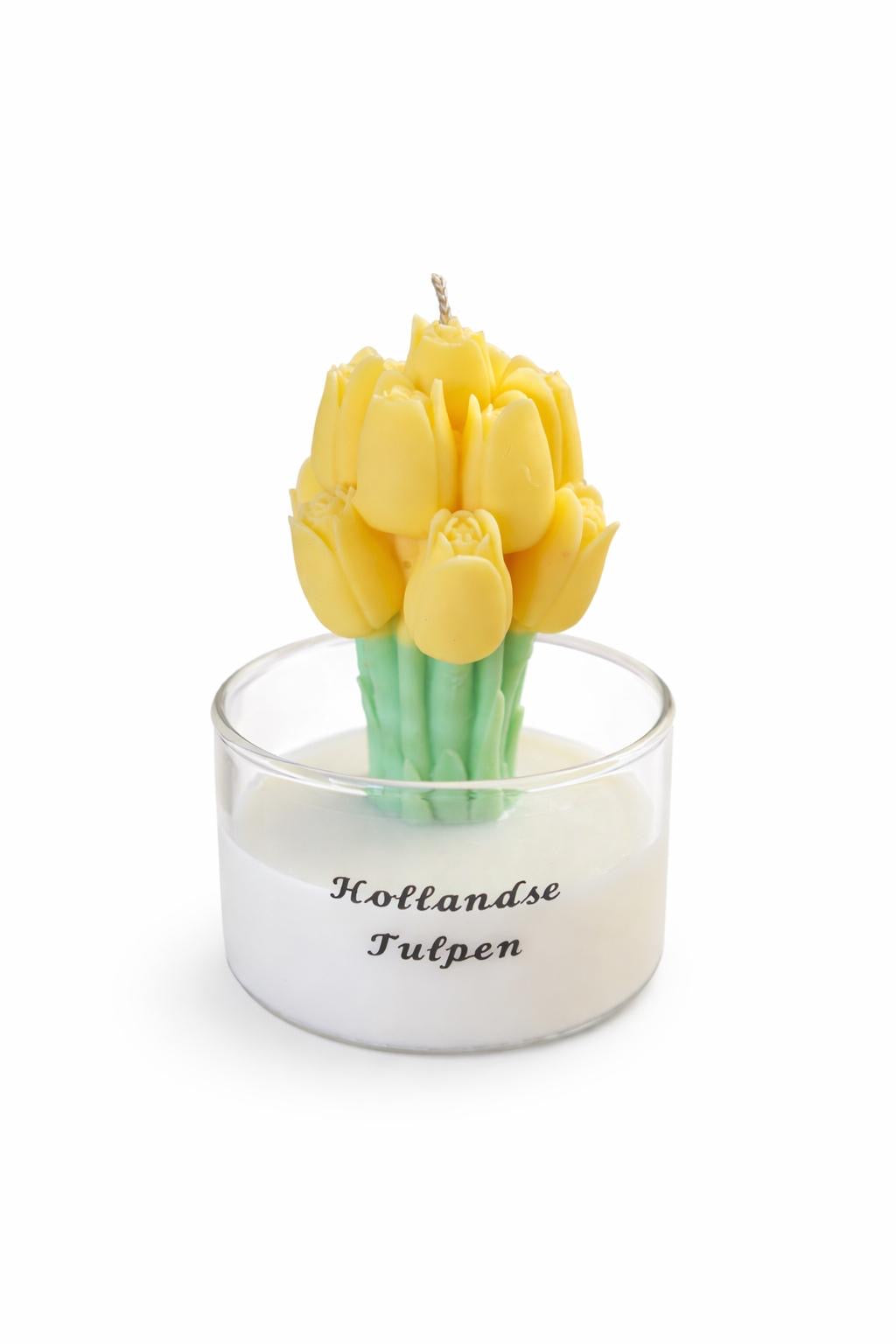 Hollandse tulpen