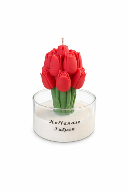 Hollandse tulpen