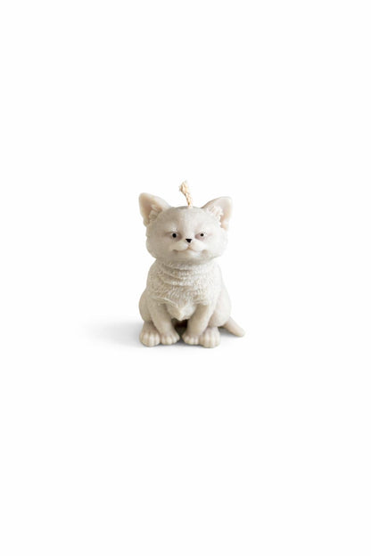 Poes