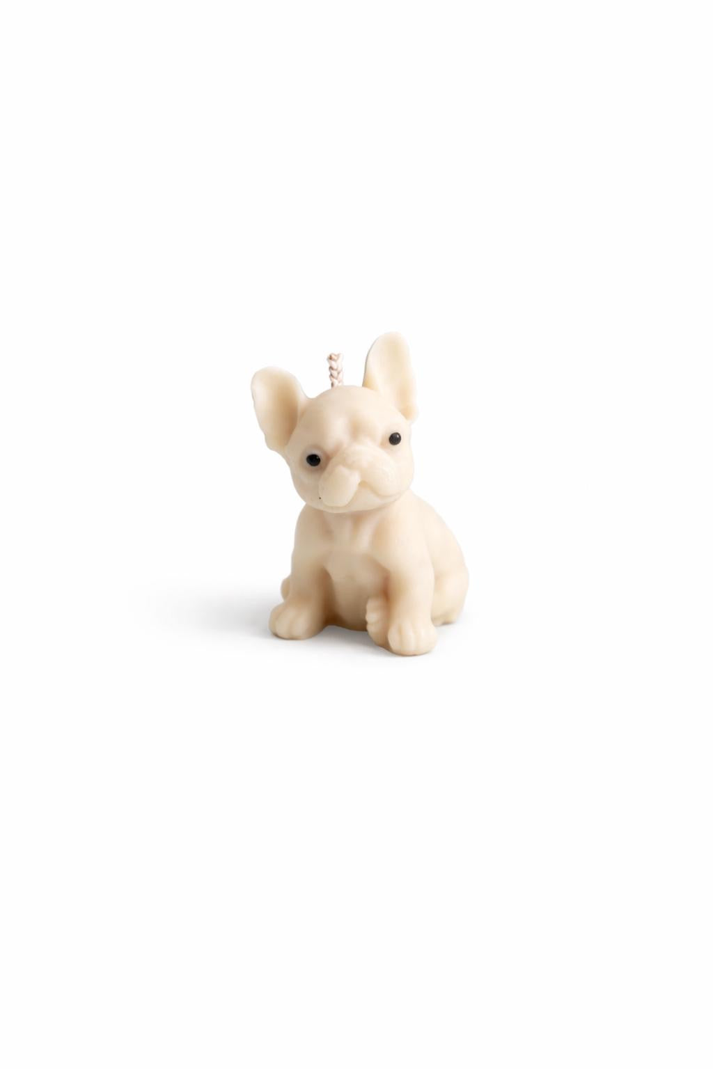 Franse Bulldog