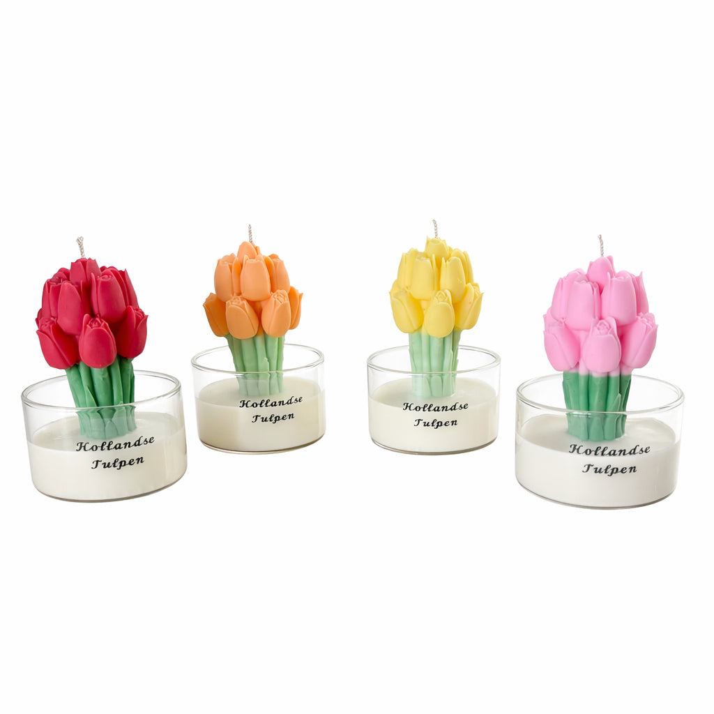 Hollandse tulpen
